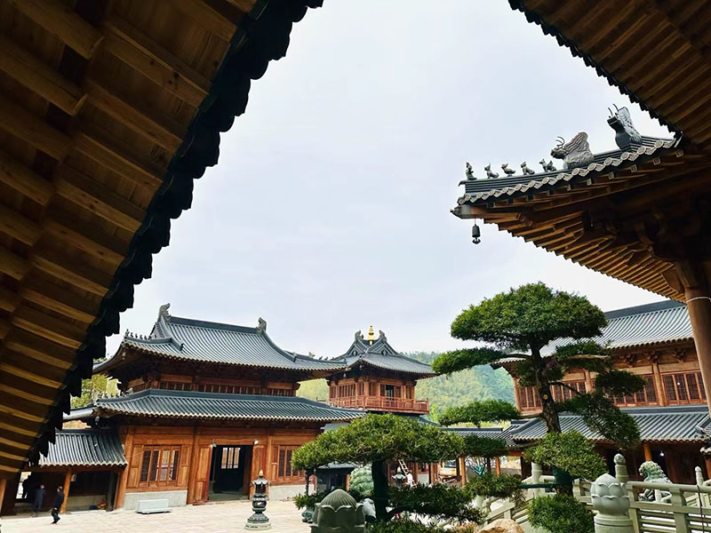 唐风寺院屋顶形制创新探索，传统瓦作技艺与现代设计理念融合实践