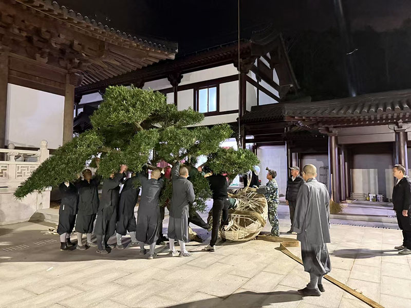甄选明清古建修缮精英团队，传统工匠经验与技术传承能力评估